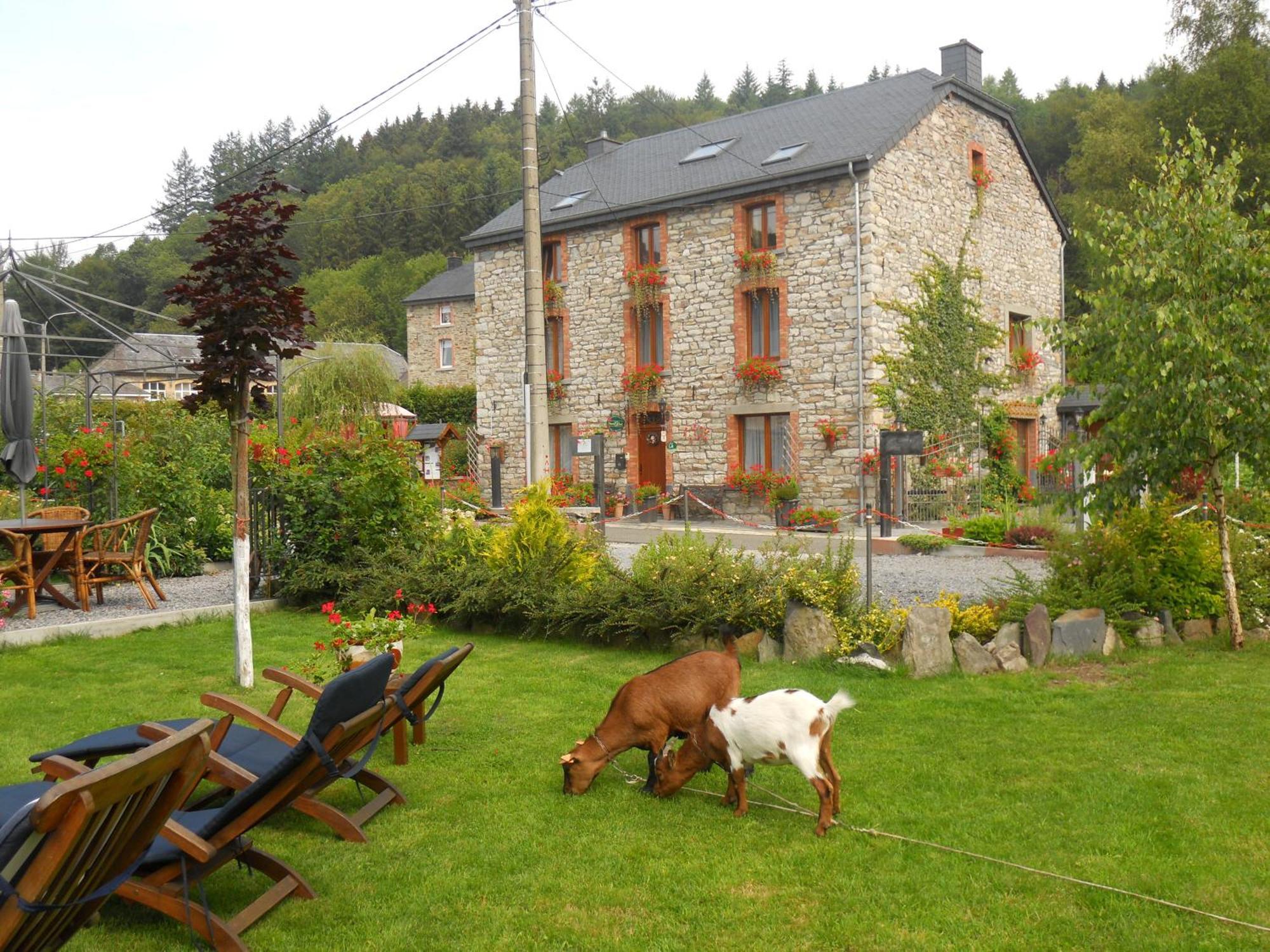 B&B Nord Sud Salmchâteau Eksteriør bilde